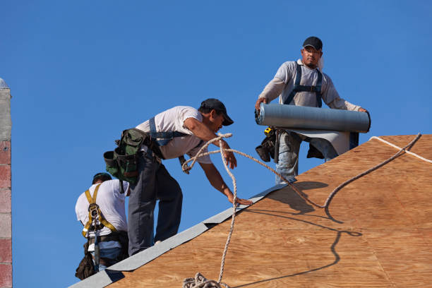 Best Roof Repair Services  in Anchorage, AK